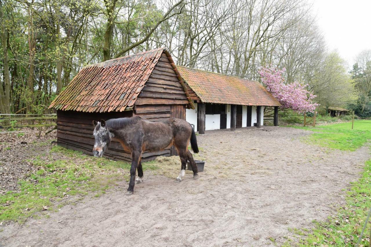 B&B Domein Rodin Oud-Turnhout Екстер'єр фото