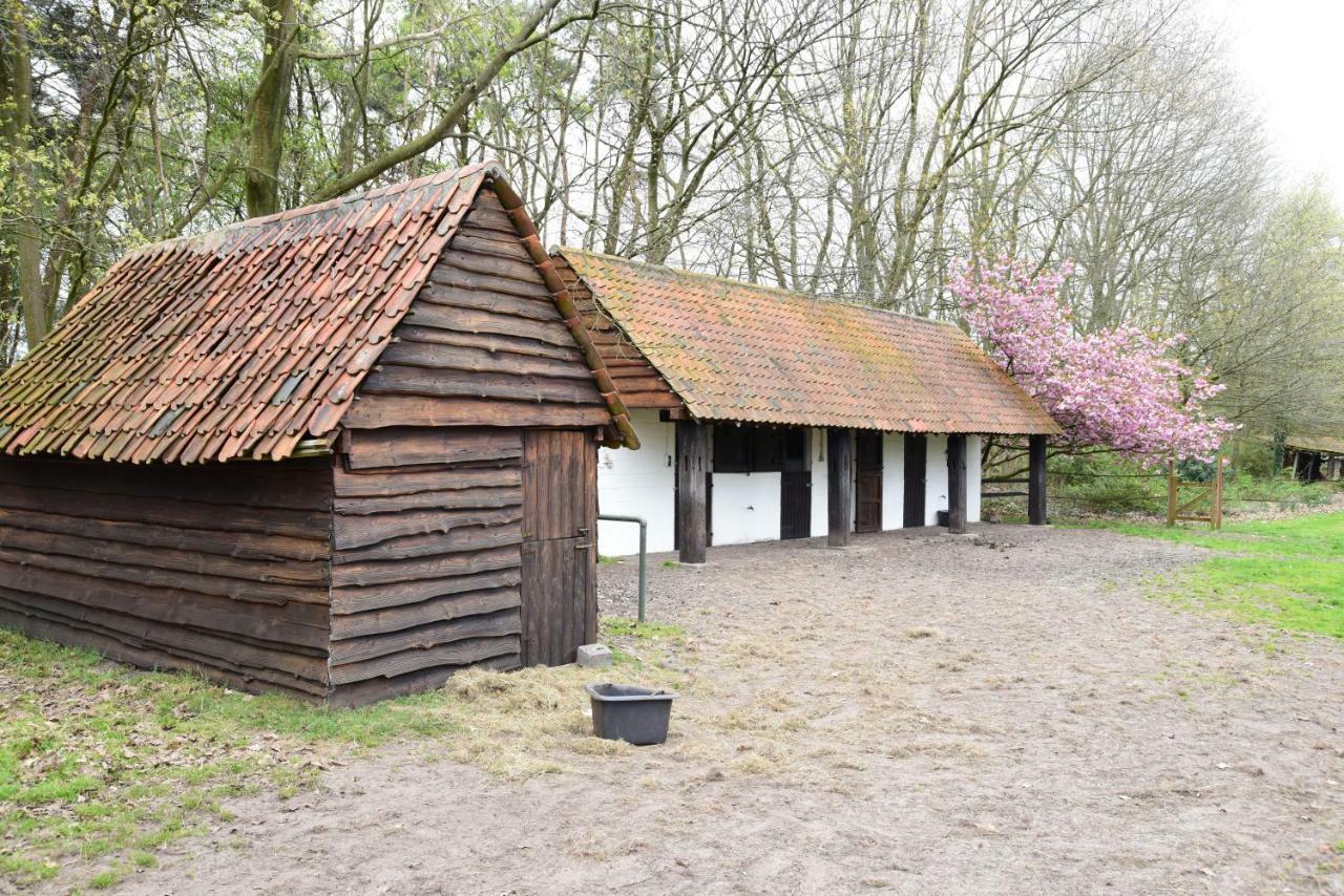 B&B Domein Rodin Oud-Turnhout Екстер'єр фото